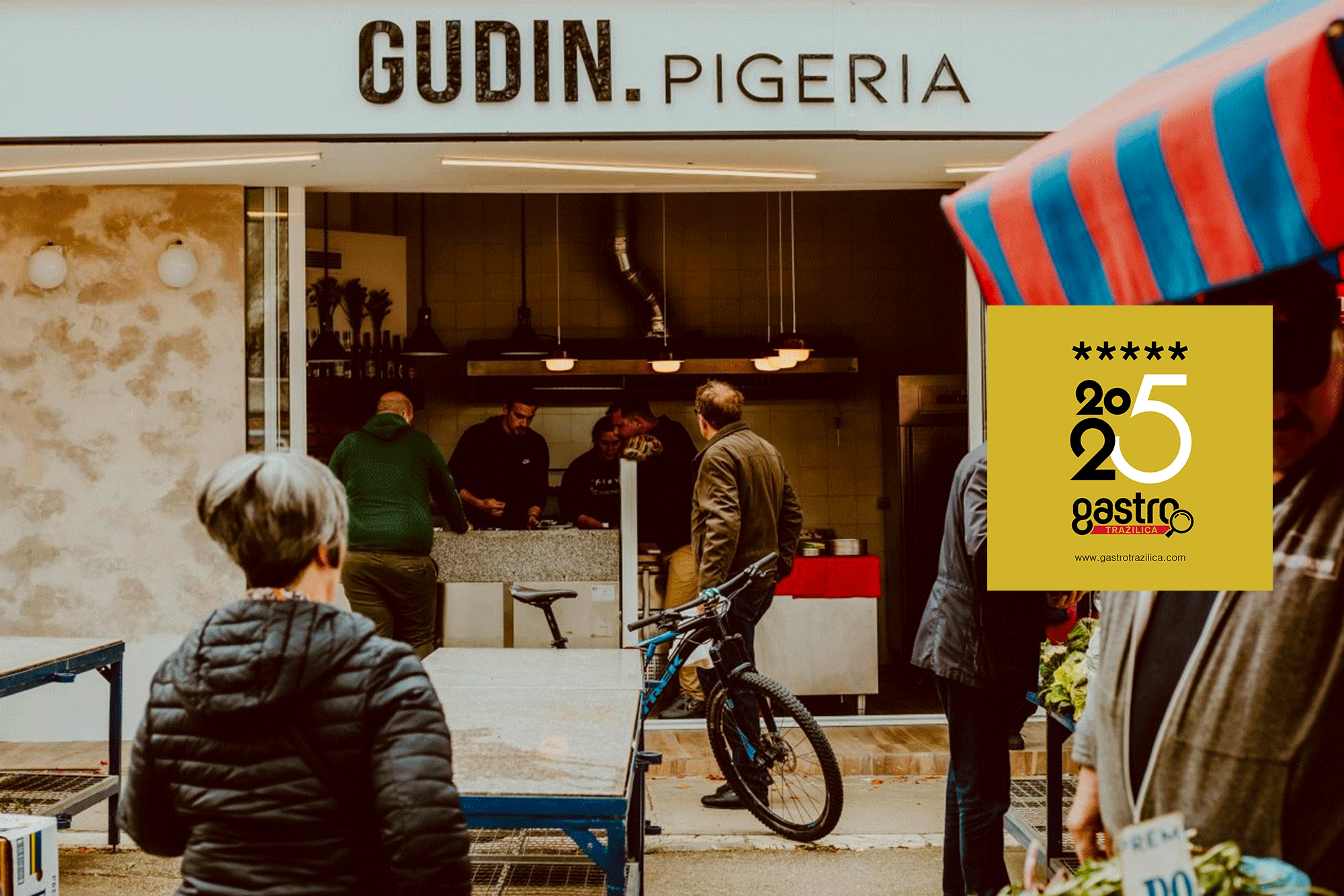 Gudin Pigeria